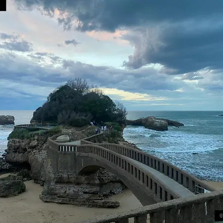酒店 Marbella
